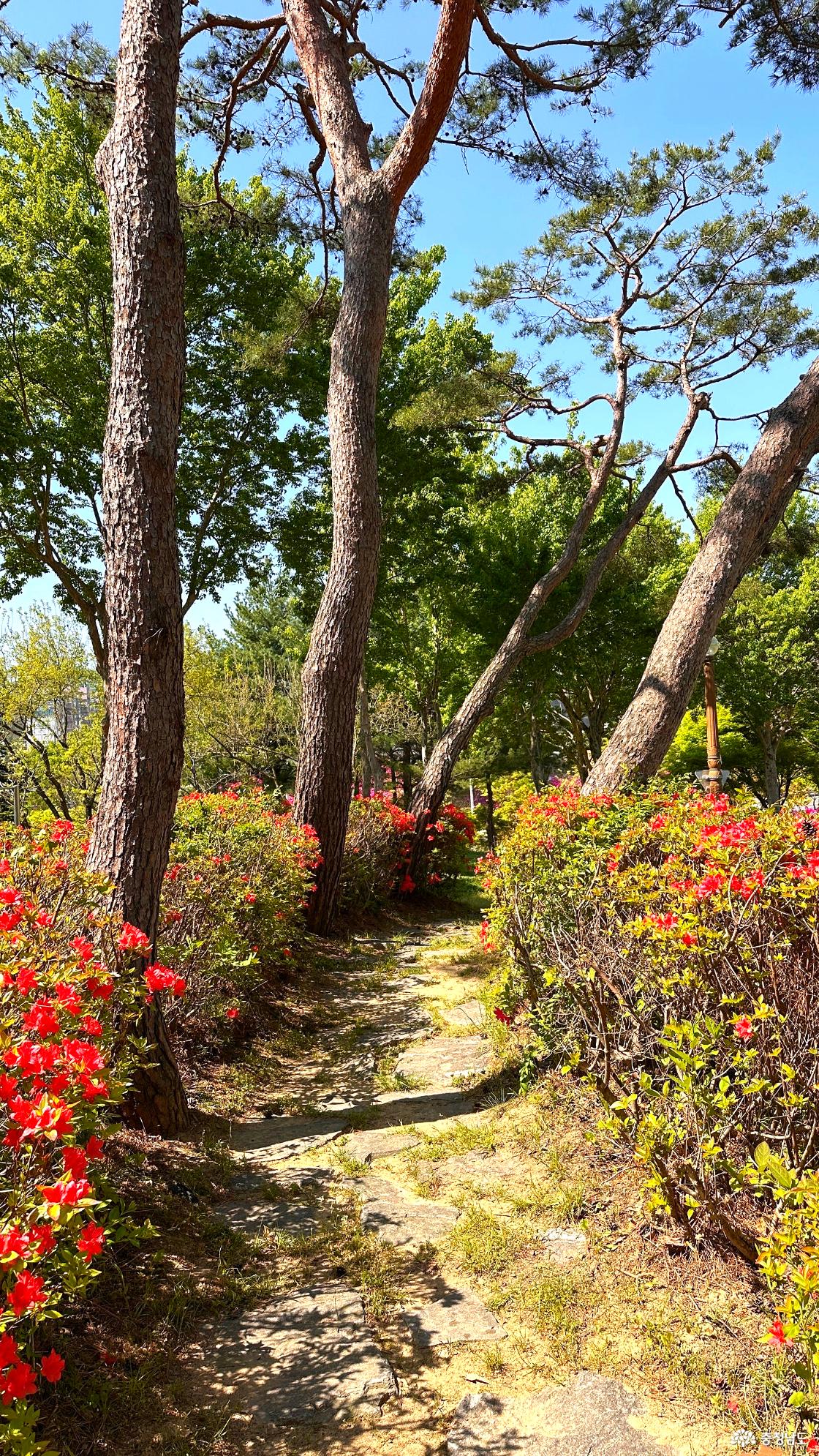 산책로4