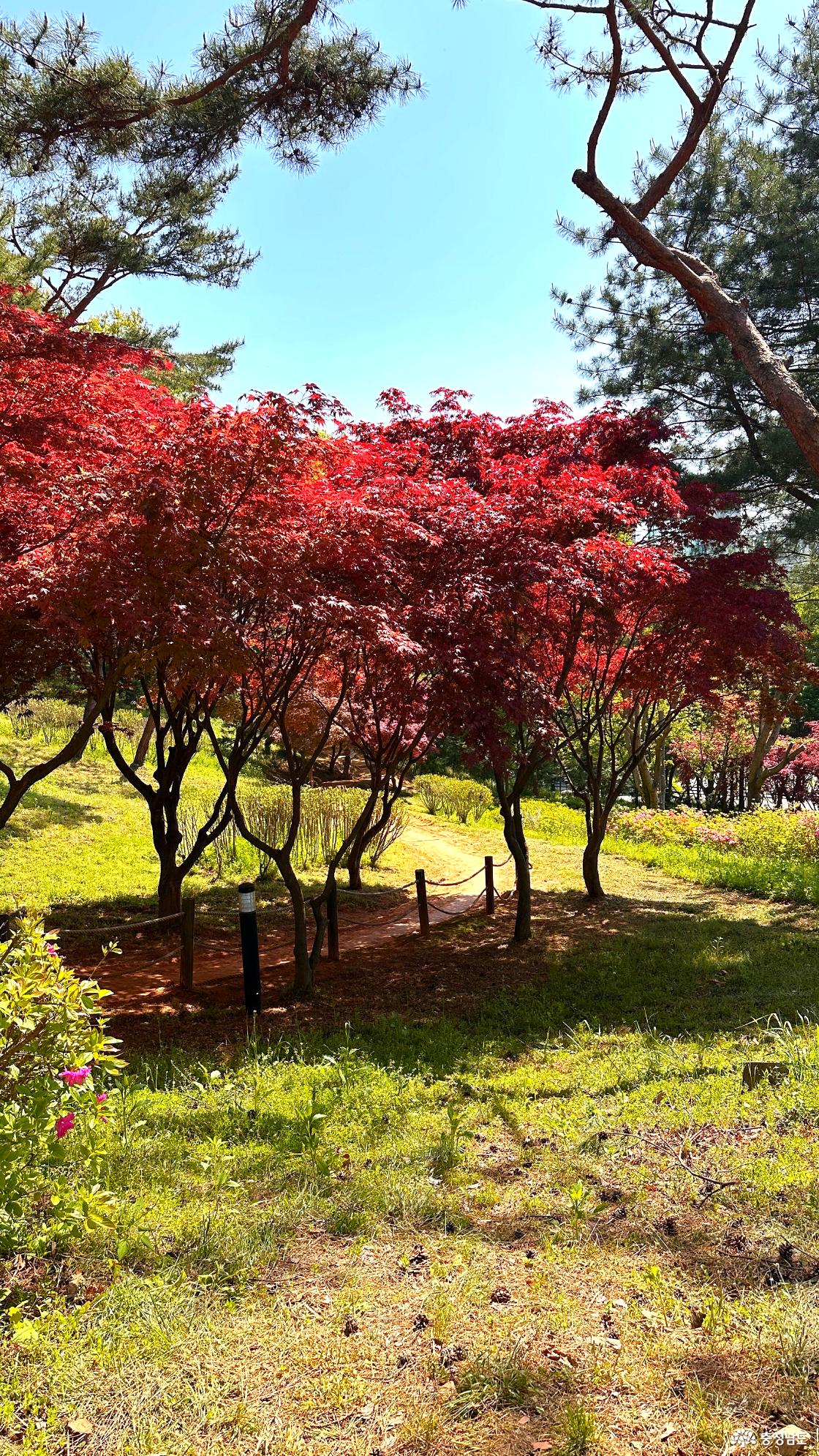 황토길