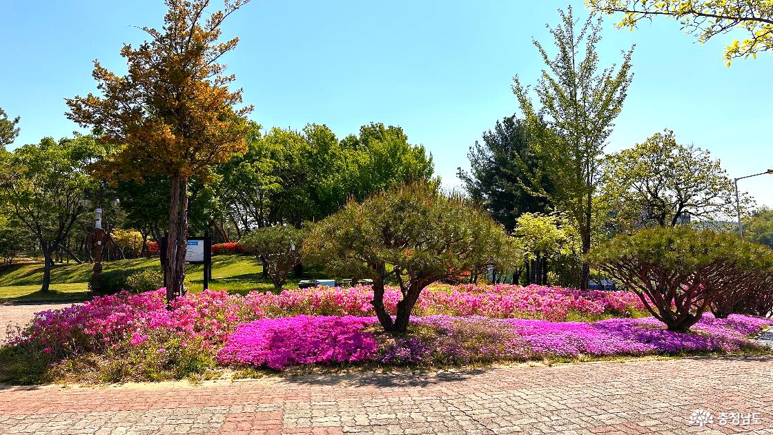 입구