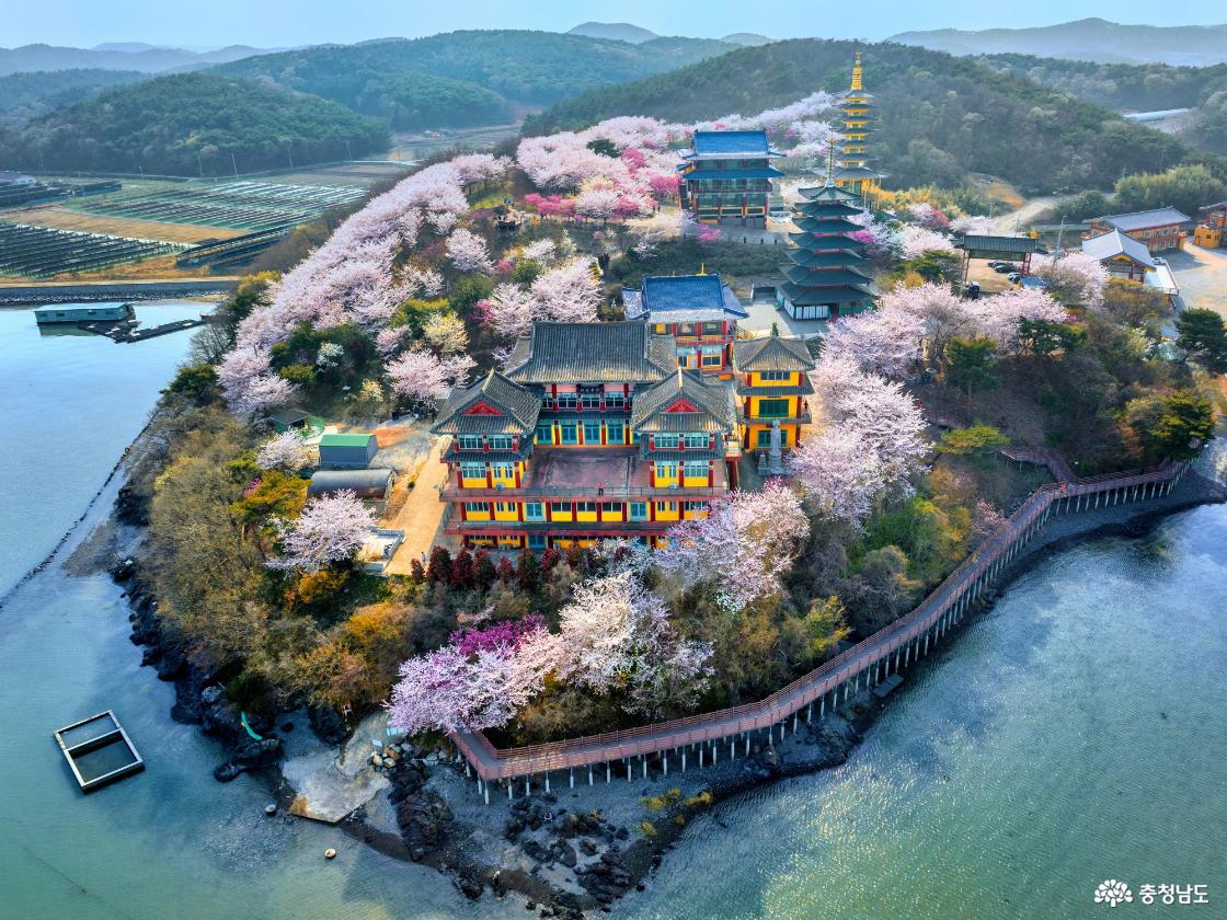 안면암