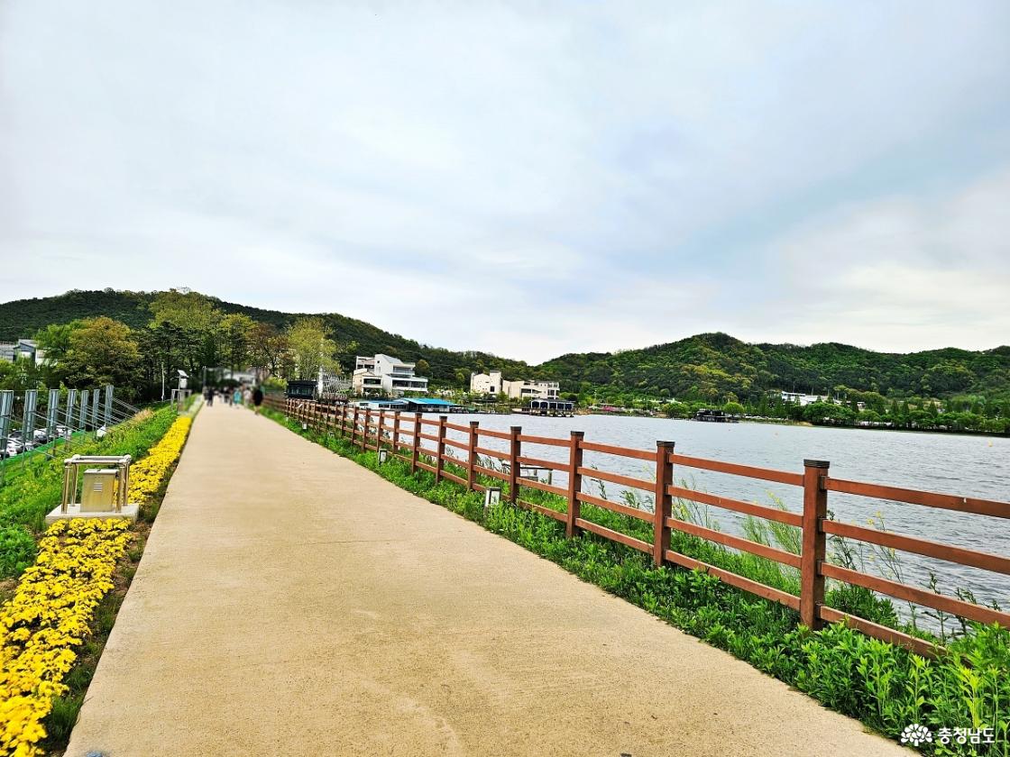 신정호수 둑길