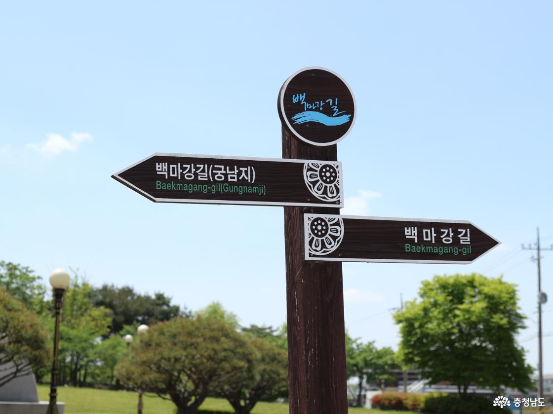 푸른 5월, 부여 궁남지에서 만난 초록의 시간