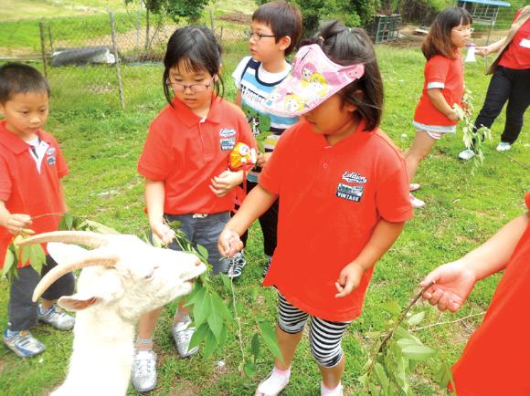 논산시 드림스타트에 참가한 아이들이 전북 임실치즈마을에서 염소에게 밥을 주는 초지 낙농체험을 하고 있다.