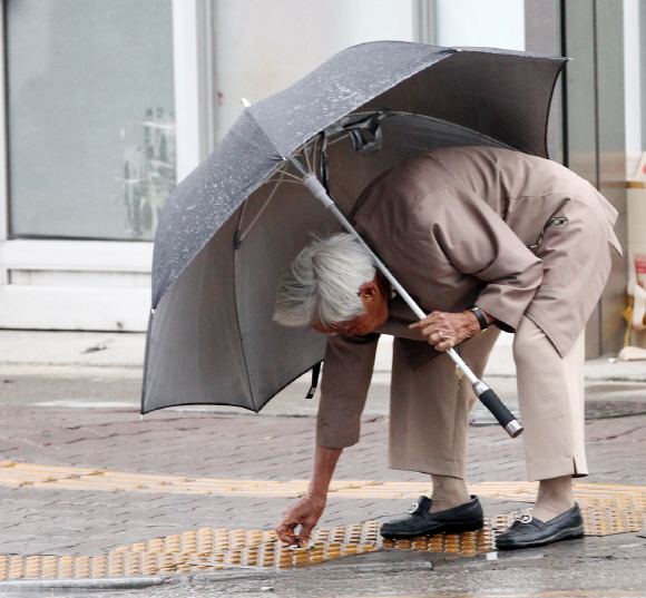 가뭄을 해갈하는 단비가 내리던 지난달 30일 맹철옥(여·94·서산시 읍내동) 할머니가 우산을 들고 쓰레기를 줍고 있다.