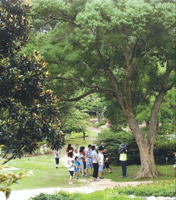 문화관광 해설사가 천리포 수목원에서 관람객들에게 나무에 대해 설명하고 있다.