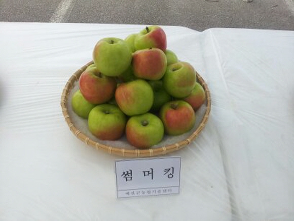 사과텔레콤 이미지