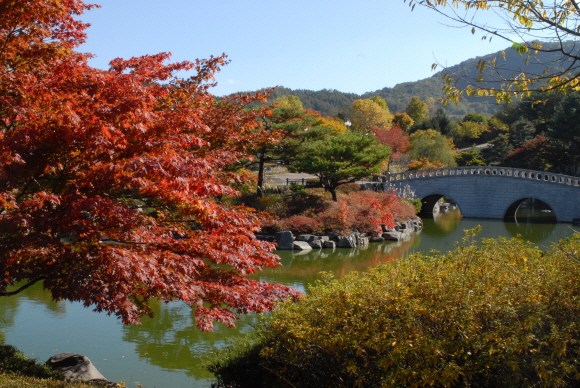 금강수목원 이미지