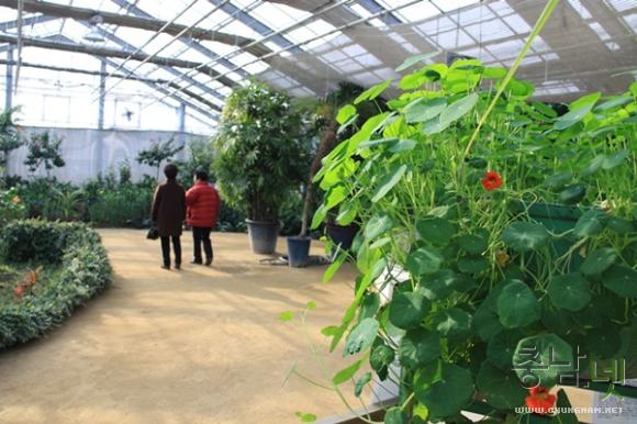 따뜻한 나라에 온듯한 아산세계꽃식물원