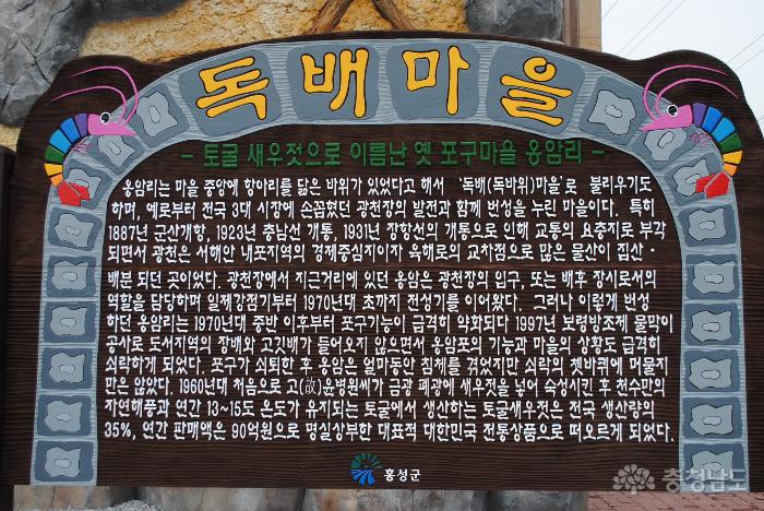독배토굴새우젓 이미지