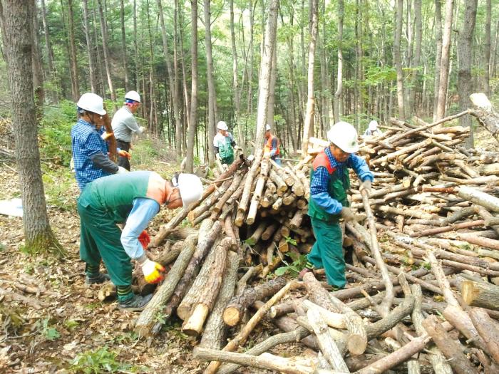 산림 분야 녹색 일자리 사업으로 실시되는 산림 바이오매스 산물 수집단의 작업 모습.