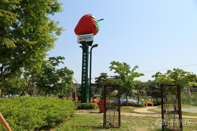 논산시 탑정호 수변 생태공원 