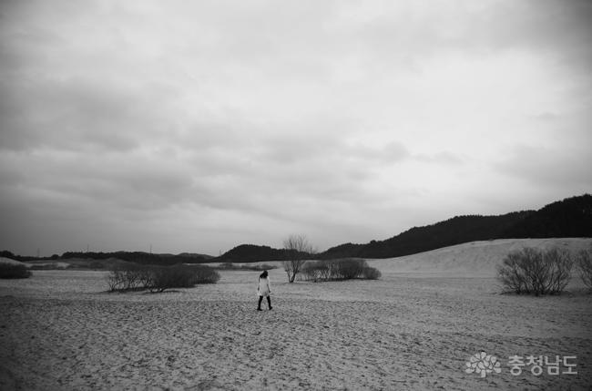 한국의사막길을걷다 1