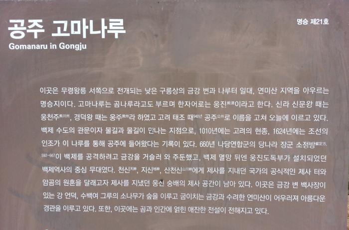 고마 이미지