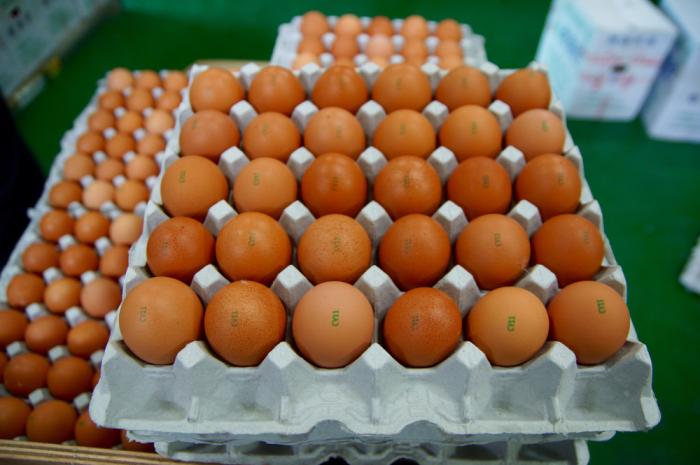 계란으로6차산업꿈꾸는크로바양계식품을가다 2