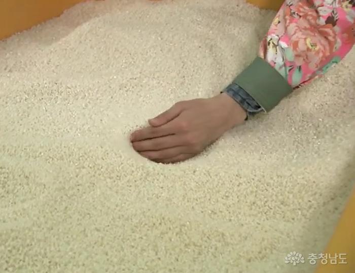 베트남쌀국수NO우리쌀쌀국수YES 1