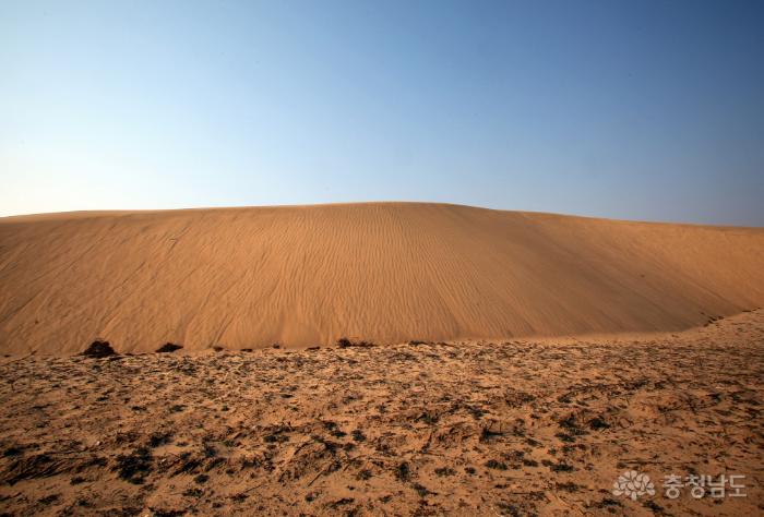 바람이 만든 거대한 모래언덕 사진