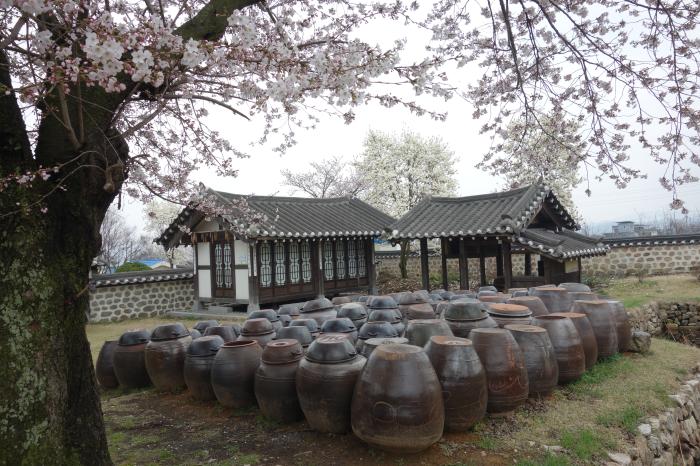 옛 고을의 관아 대흥동원의 봄 사진