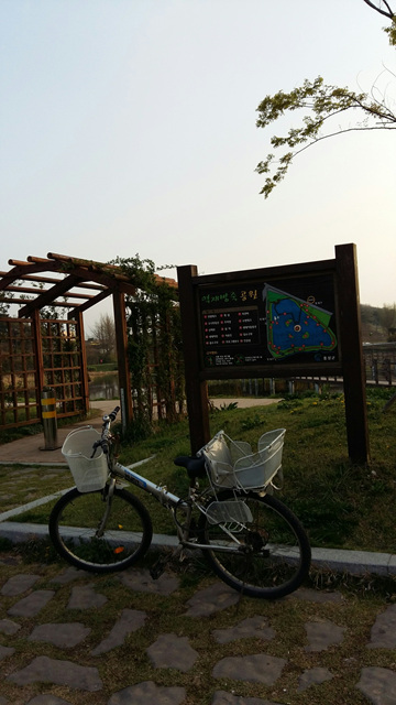 홍성역재방죽공원에섬이있는이유 1
