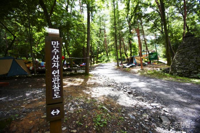 만수산 자연휴양림 이미지