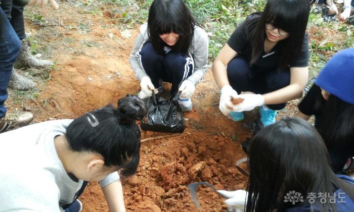 왕실 도자기에 사용됐던 면천 흙을 직접 파서 체험하는 학생들