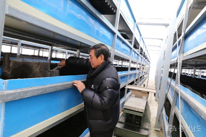 김성락 대표(위 사진)와 직원이 다슬기 양식장 수조를 살펴보며 관리하고 있다.