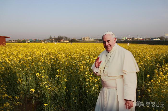 솔뫼성지 앞 교황님과 유채꽃 사진