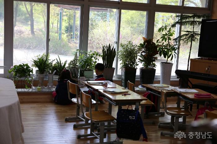 아토피 치료에 좋은 식물들을 화분으로 꾸며 들여놓은 교실 모습. 아이들이 수업중이다.