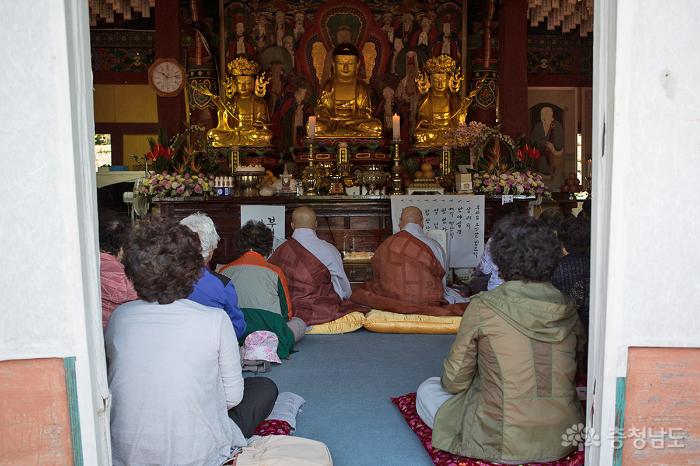 부처님오신날천진와불의신원사풍경 12