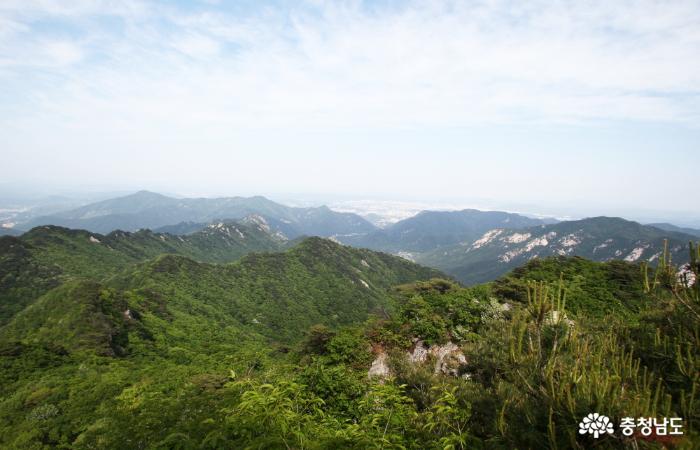 계룡산 산행기 <봄> 사진