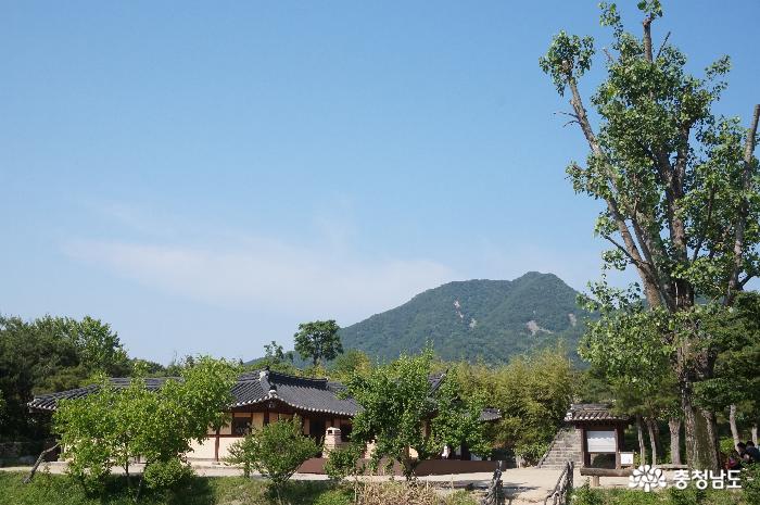 아산 외암민속마을 5월 풍경속으로.. 사진