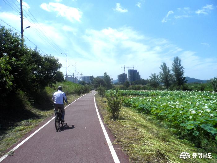 자전거로 즐기는 정안천 생태공원길