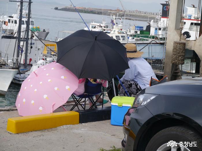 강태공들이 폭염을 이기려고 우산을 쓴채 낚시질.