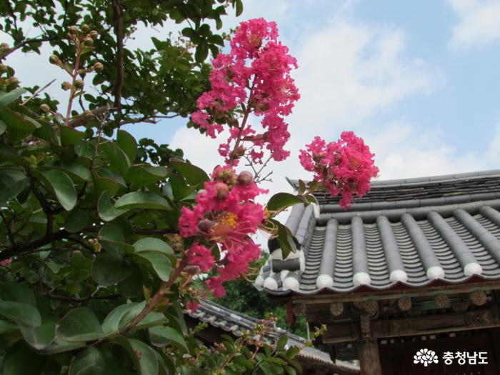 조선시대유교문화가살아있는곳 8