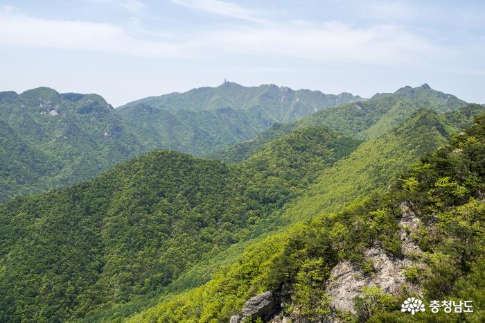 충남의명산계룡산국립공원 5