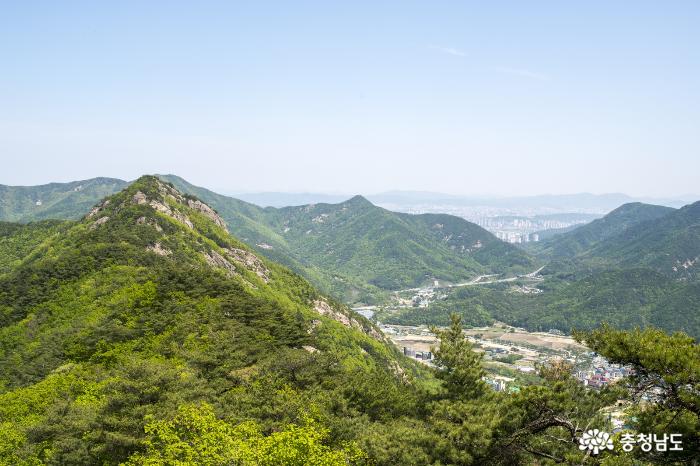 충남의명산계룡산국립공원 8