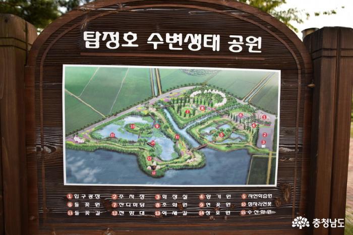 탑정호 수변생태공원