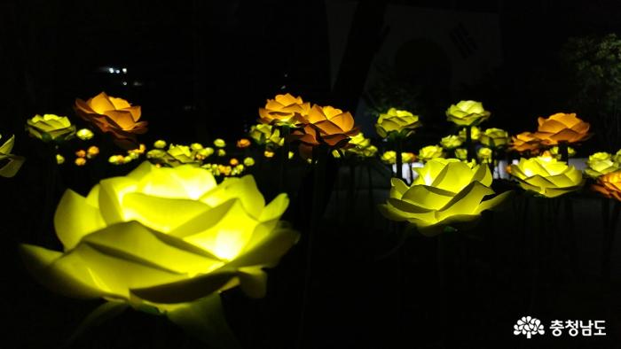 빛으로 활짝 핀 LED 장미 사진