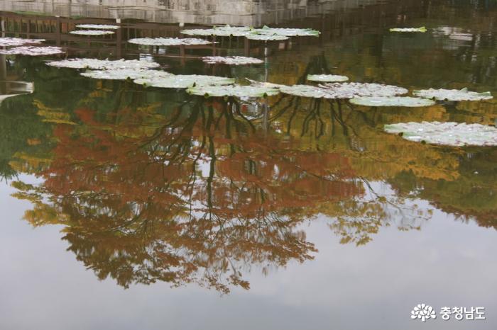 독립기념관 가을풍경 속으로 풍덩~~ 사진