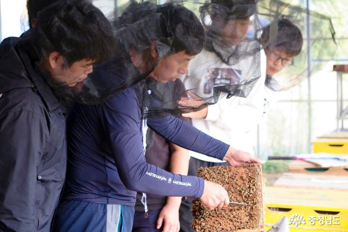 교육청인증농촌체험학습장홍성황산벌꿀벌농장 12