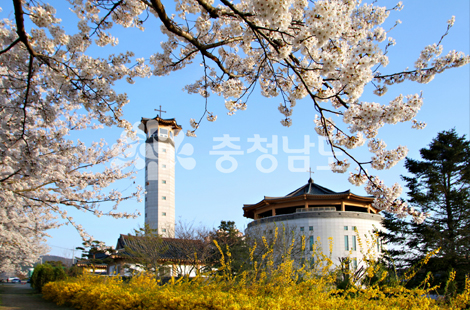 해미천 벚꽃음악회