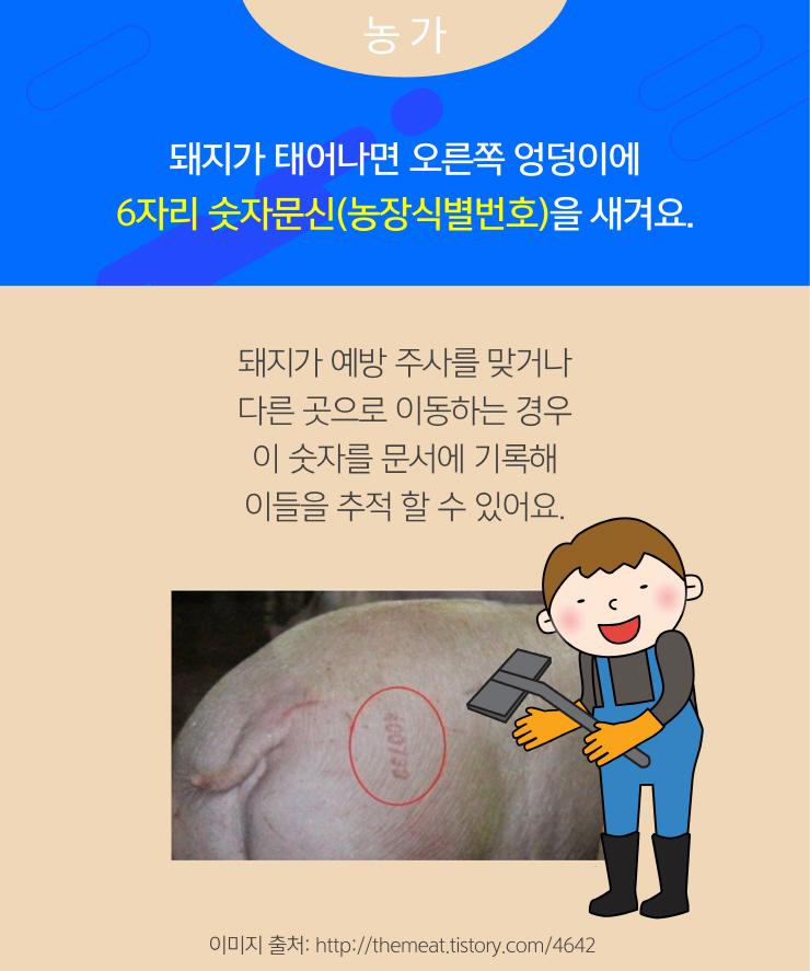 [농림축산식품부] 돼지고기 이력제가 우리에게 알려주는 것은? 이미지 4