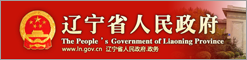 중국 랴오닝성 홈페이지