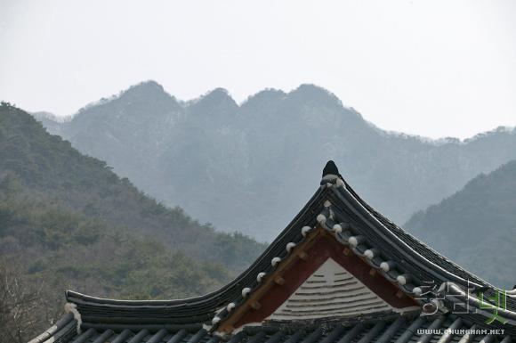 훌쩍 다가선 계룡산의 봄 시산제로 붐벼 사진