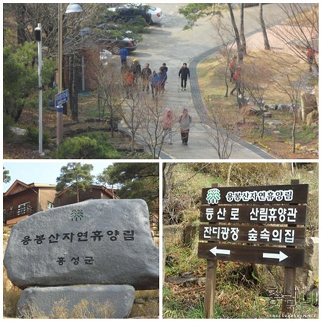 홍성군 용봉산 자연휴양림
