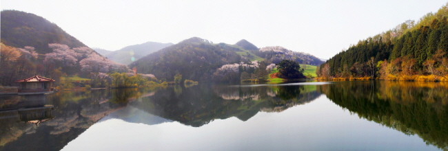 반영이 아름다운 호수 '용비지'