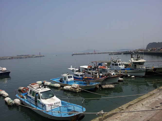 배들이 정박해 있는 홍원항의 여유로운 모습