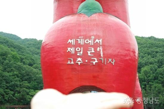 한국의 알프스, 청양 사진