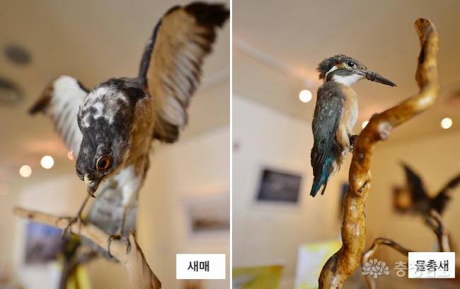 철새의 생태를 알 수 있는 홍성조류탐사과학관 사진