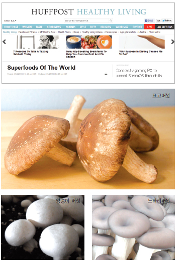 현대인의 웰빙식품 국산 버섯 해외서도 인정