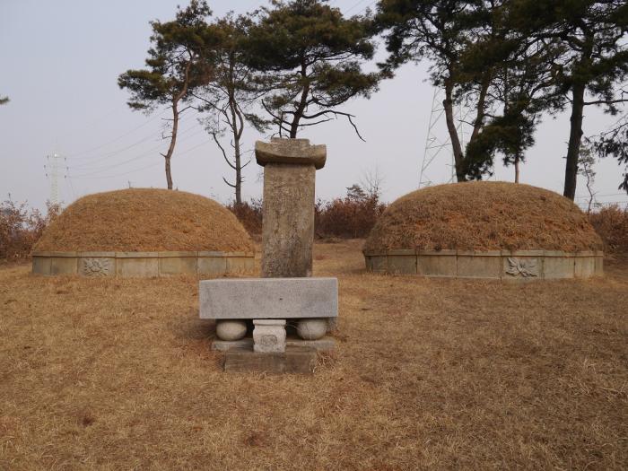 자암 김구선생 묘소
